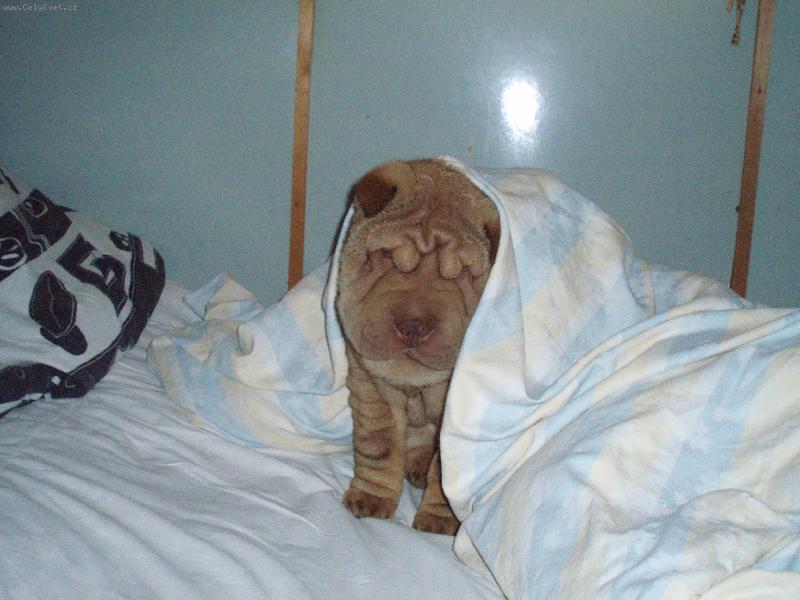 Foto: Ruppert