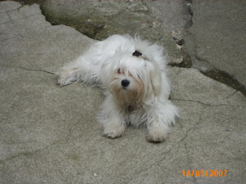 Foto: Aishinka