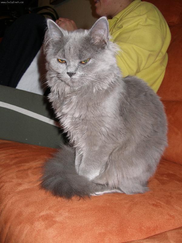 Foto: Elzinka