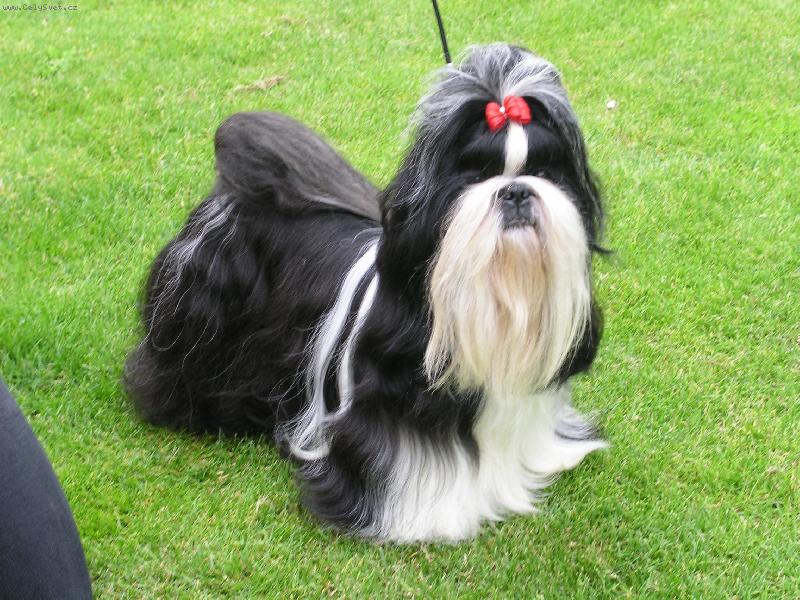 Foto: Lucifer