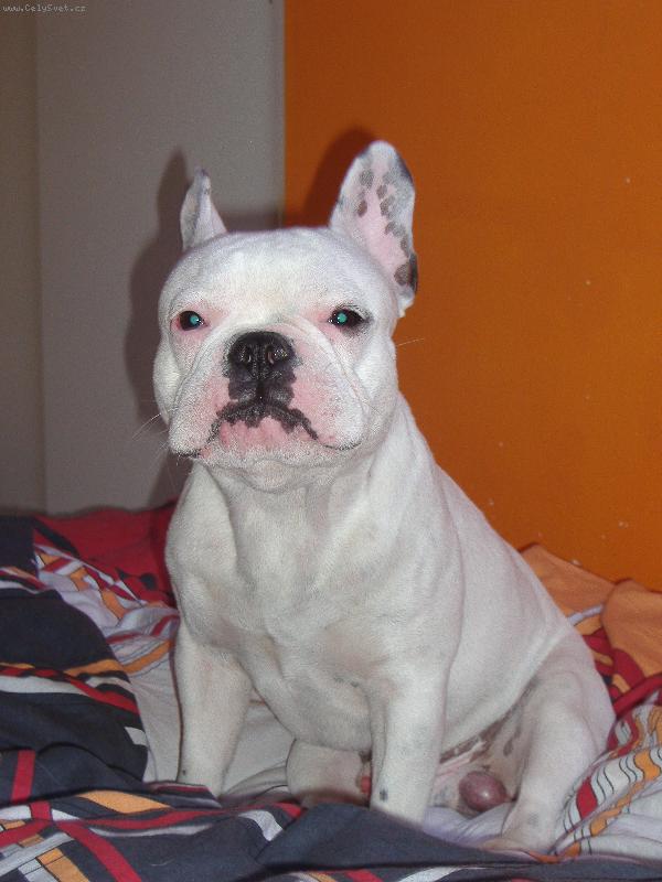 Foto: mike