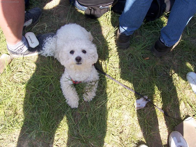 Foto: Toby�ek
