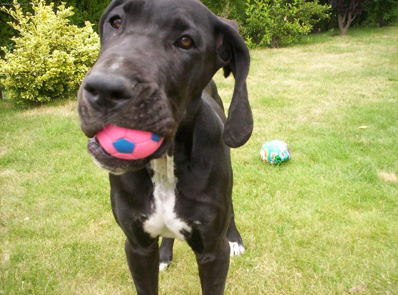 Foto: Charlie