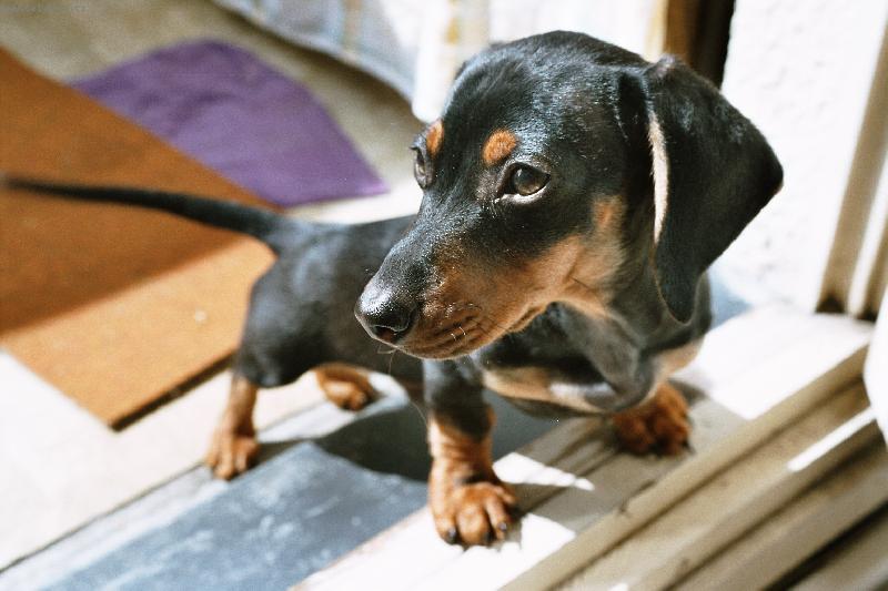 Foto: Bert��ek