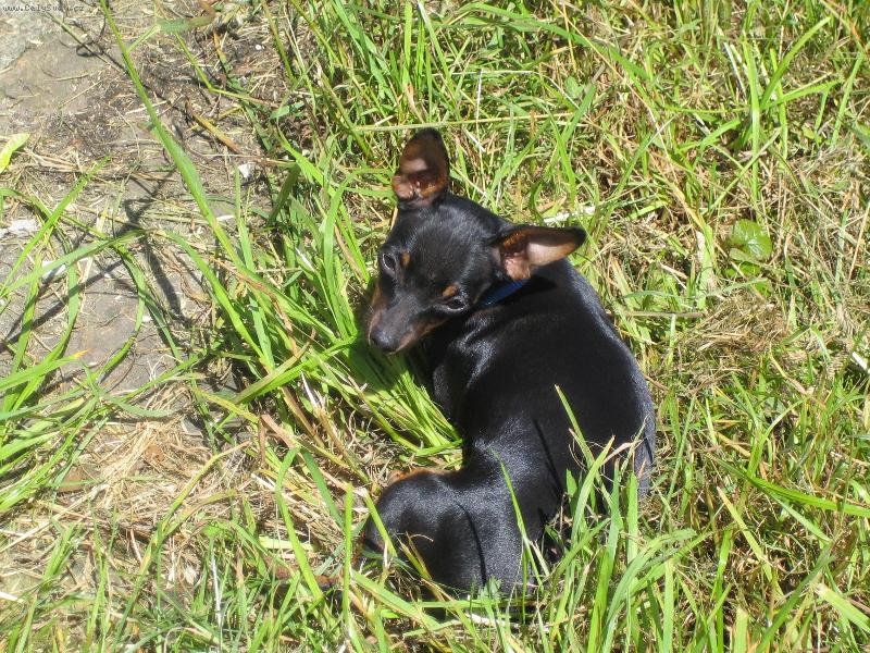 Foto: Zorinka