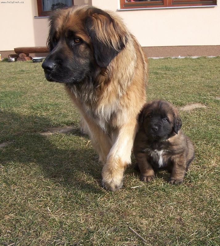 Foto: Bassira
