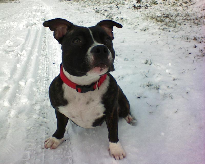Foto: prvn� zima