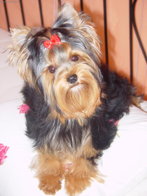 Foto: Medy