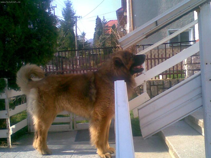 Foto: C�zarko