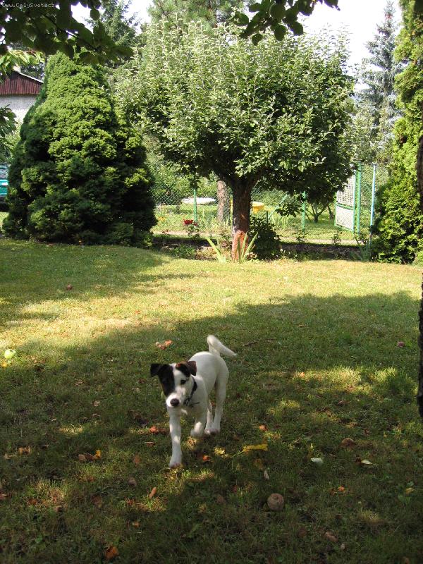 Foto: V pohybu