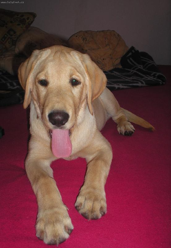 Foto: ...