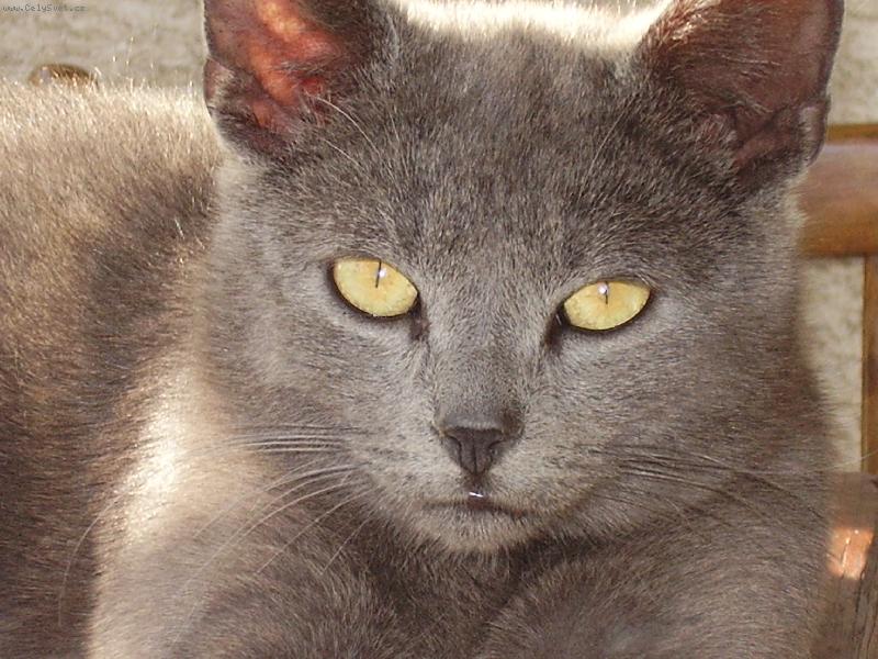 Foto: Jerry