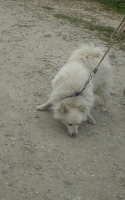 Foto: Dakky