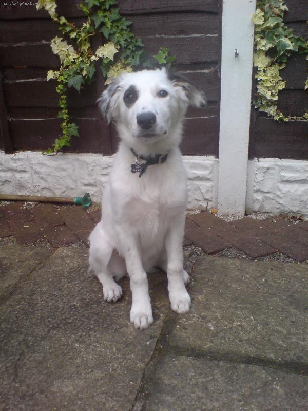 Foto: Iggy