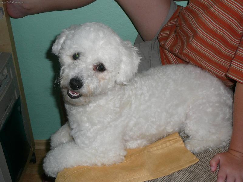 Foto: Angie