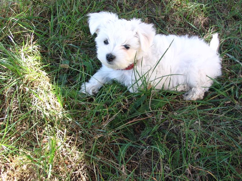 Foto: Toby