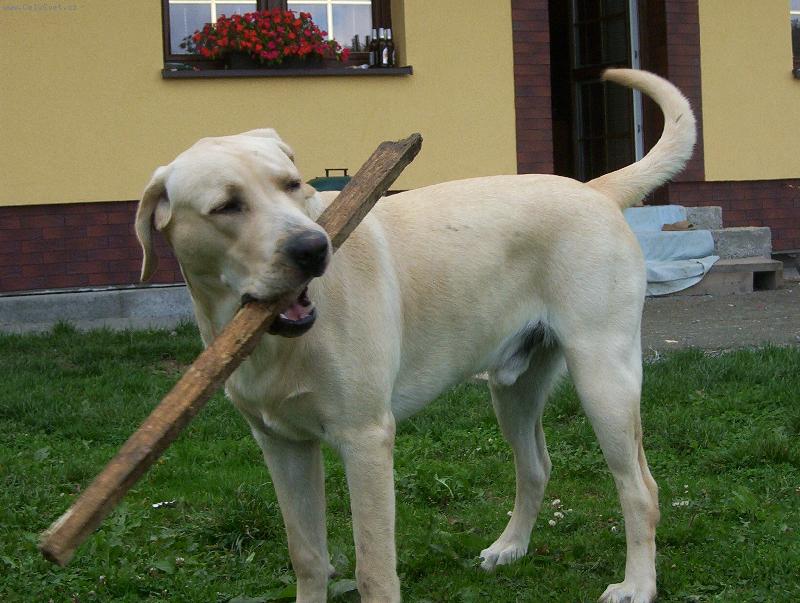Foto: Max-Aport!