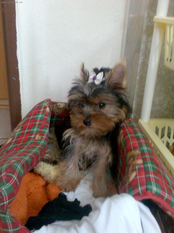 Foto: Jesska