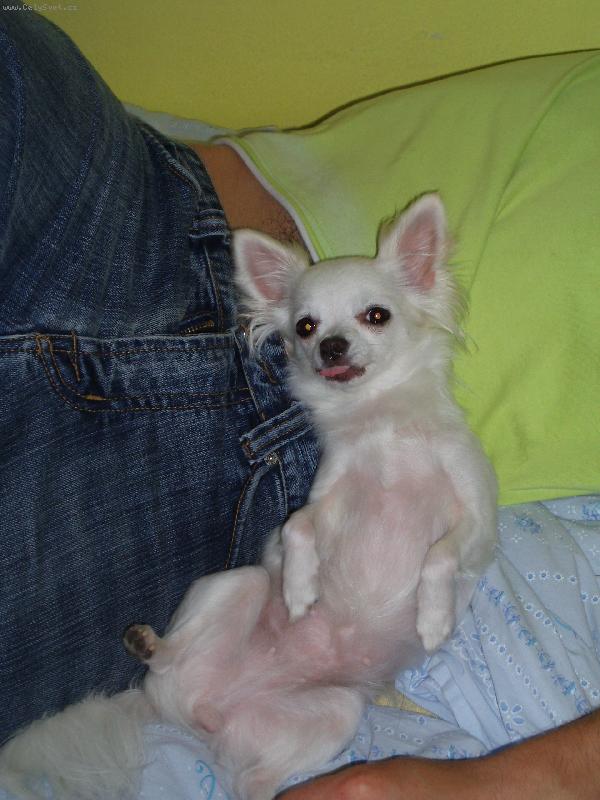 Foto: Terinka