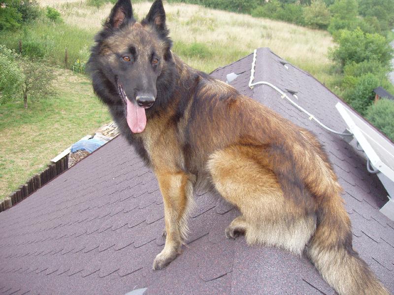 Foto: Roman-climber