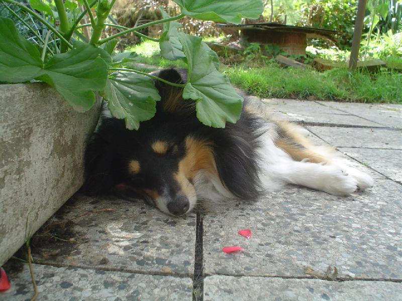 Foto: Adushka