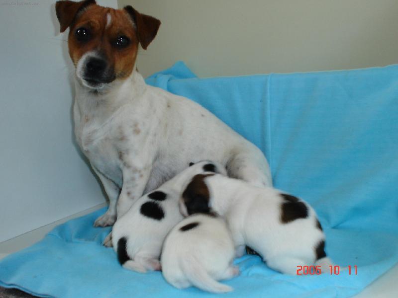 Foto: Jacki s miminky