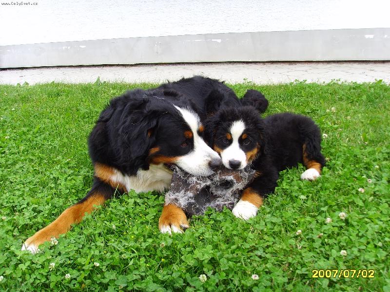 Foto: Akim a Casey
