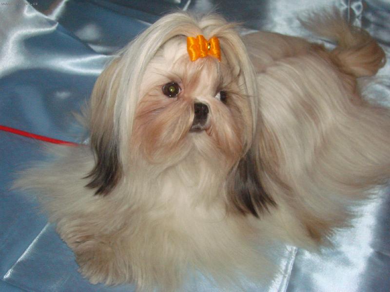 Foto: Roz�rka