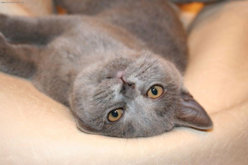 Foto: Chillinka