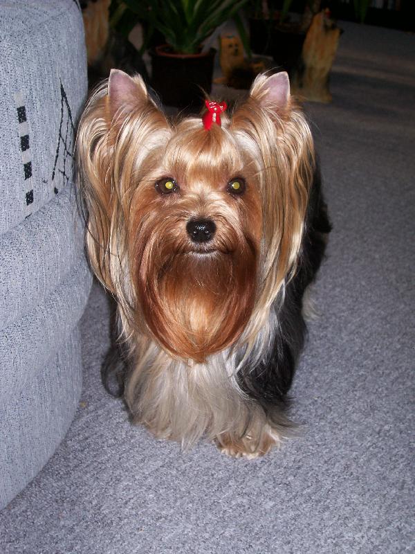 Foto: Bessy-Bessy
