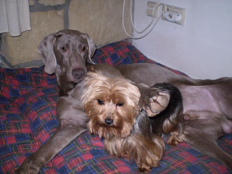 Foto: Argo a Chita