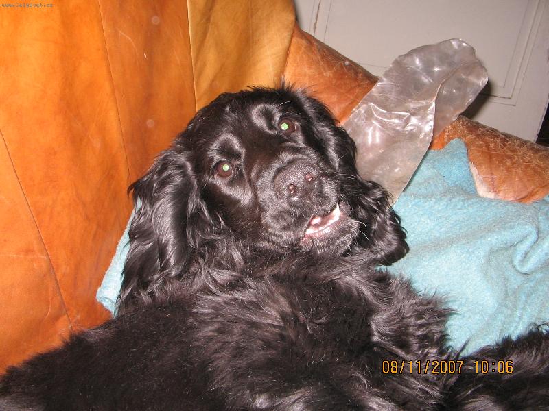Foto: Maggie