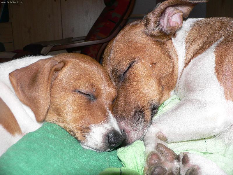 Foto: Jackie a Toby