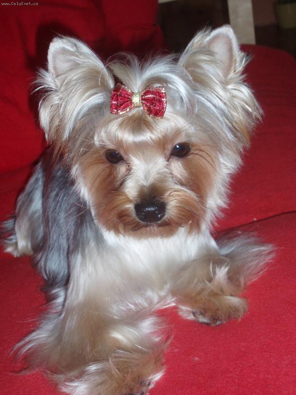 Foto: Kessy