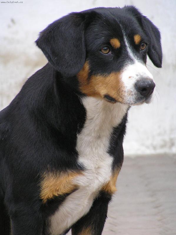 Foto: alma