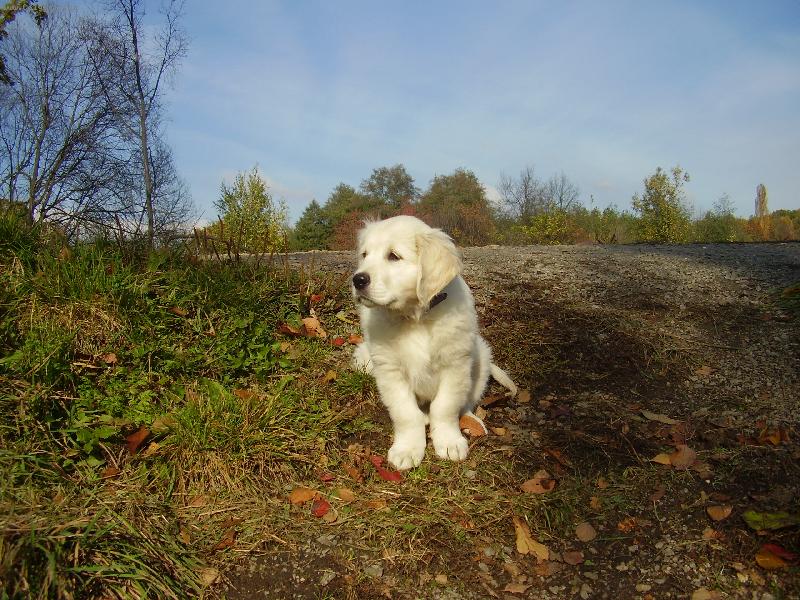 Foto: Brixik