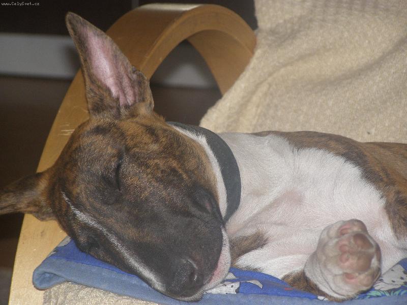 Foto: ACHILLES