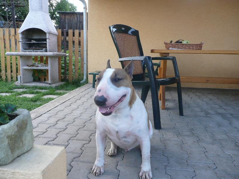 Foto: s