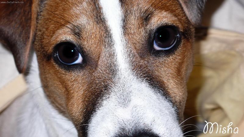 Foto: I see you :o)