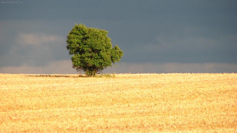 Foto: Strom