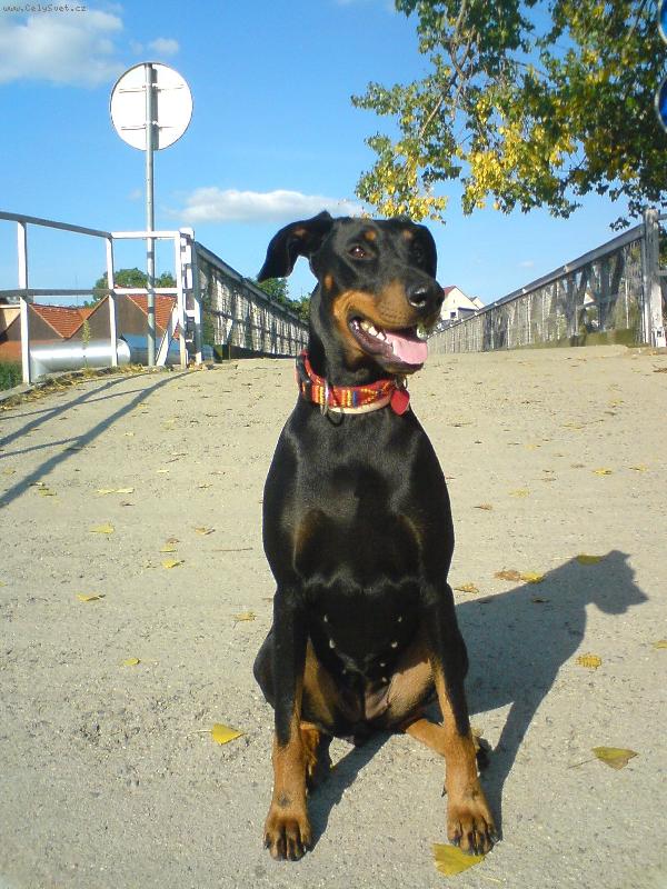 Foto: Trixy