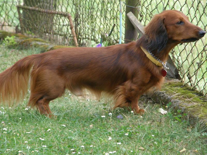 Foto: Benjie