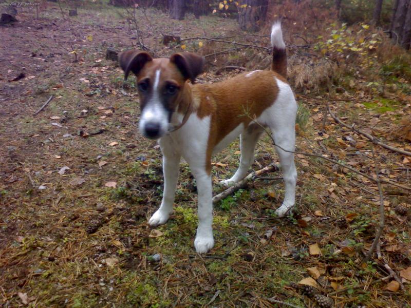 Foto: Betty