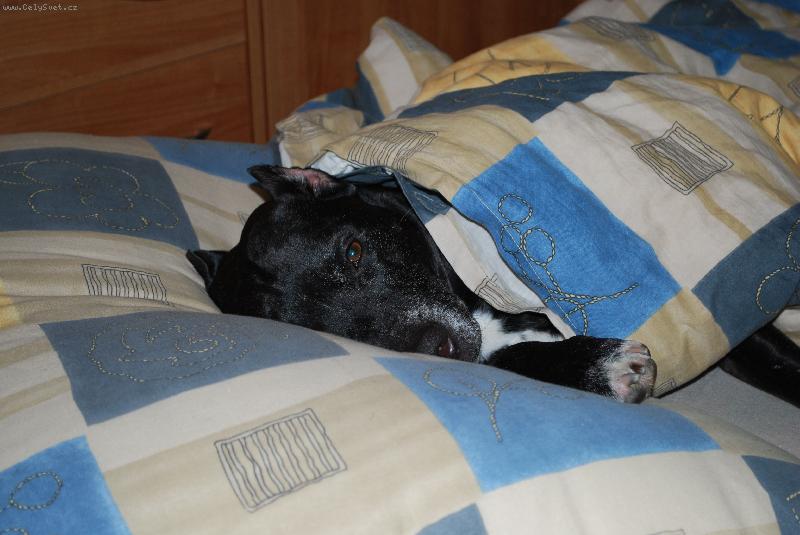 Foto: Nero