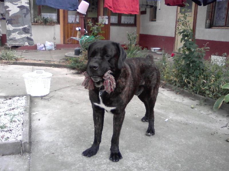 Foto: Argo