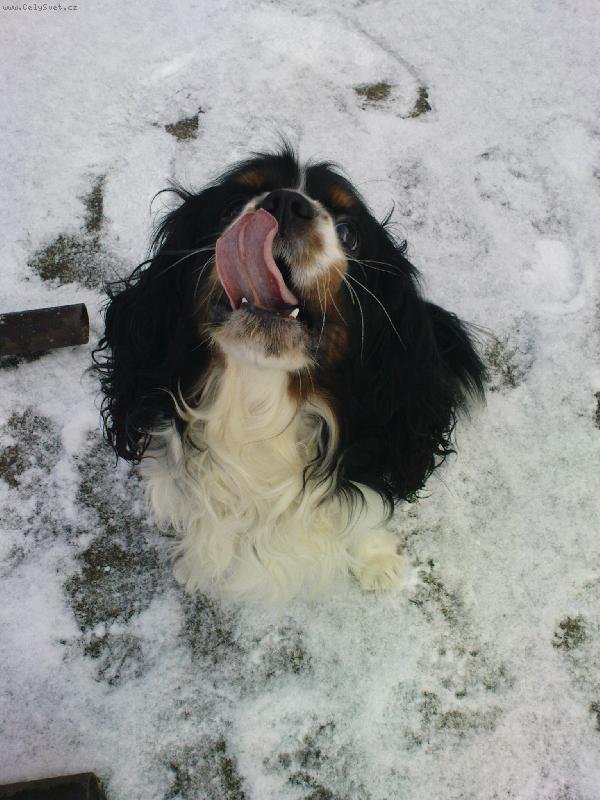 Foto: Charlie-lump