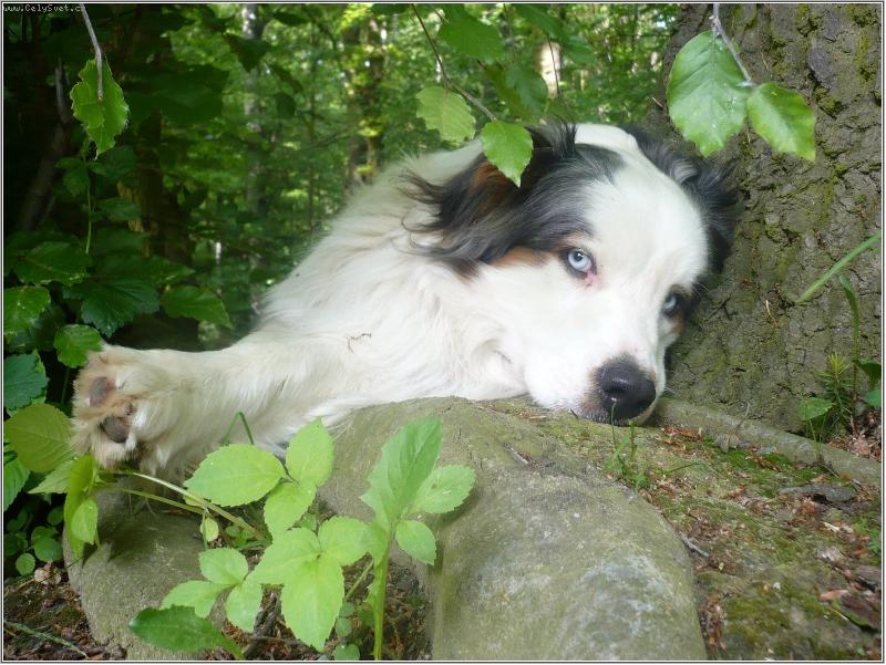 Foto: odpo�inek