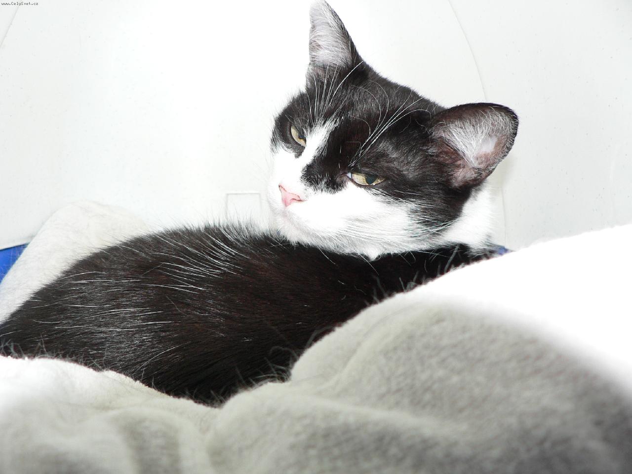 Foto: nase Zofinka