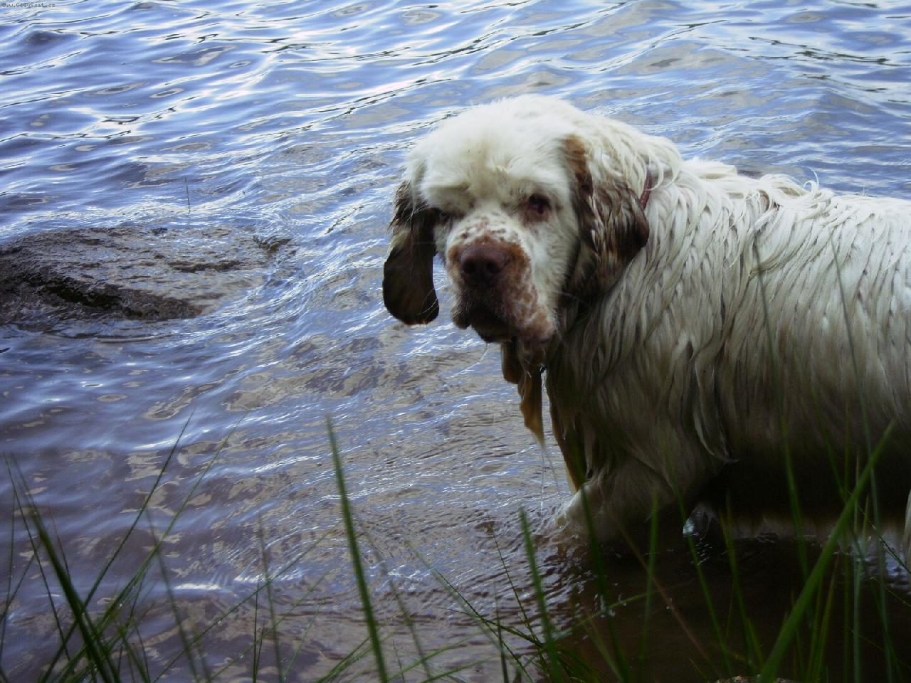 Foto: Bady-Bady