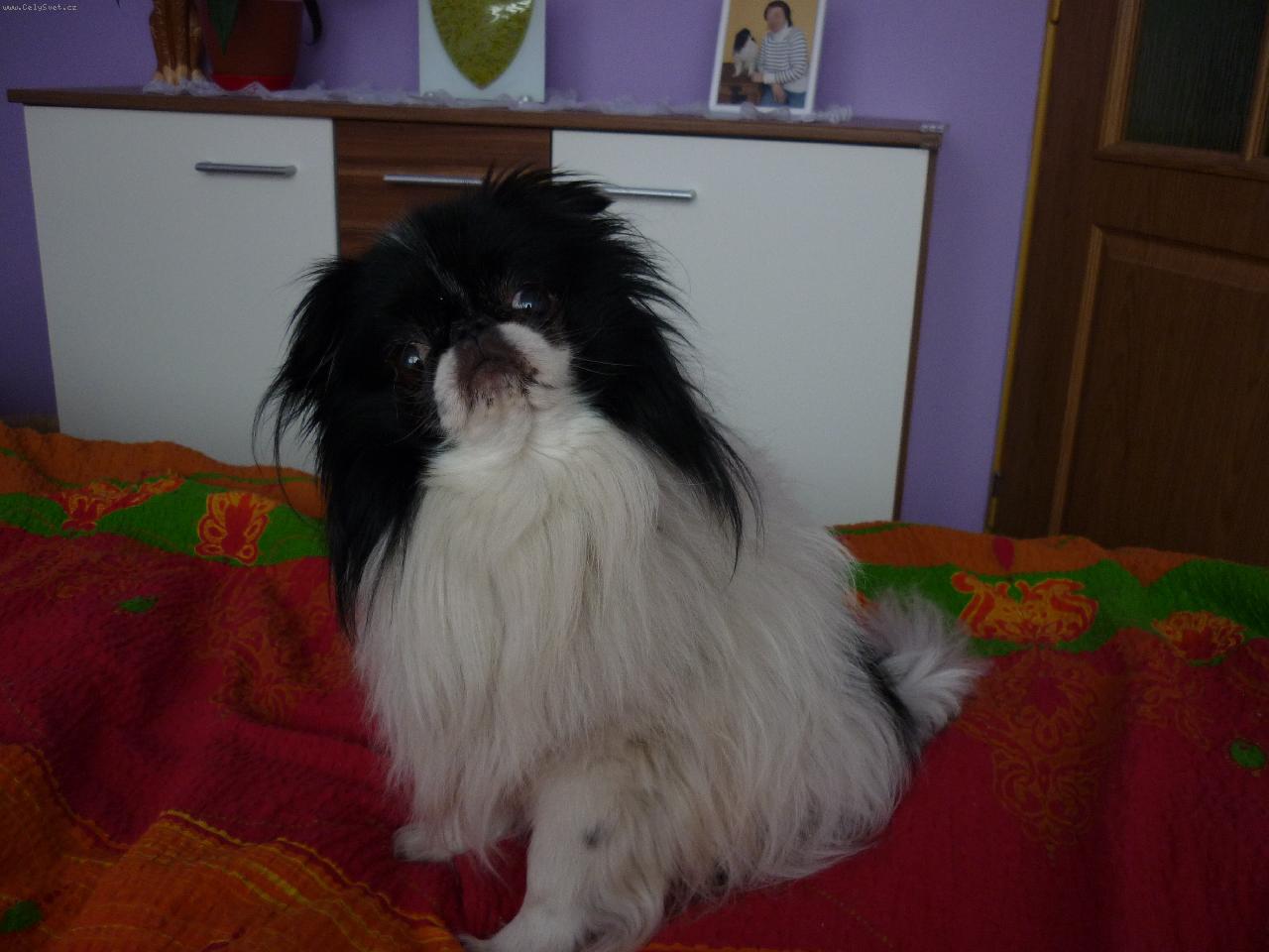 Foto: Renda-lenoch